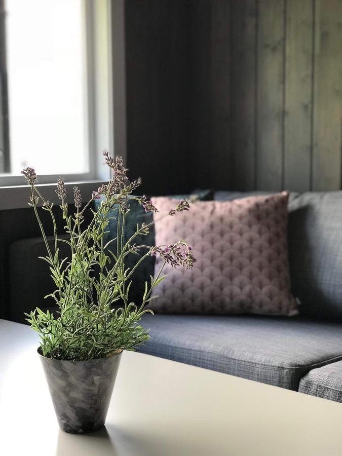 Solbakken Cabins 예이랑에르 외부 사진